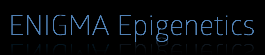 ENIGMA Epigenetics